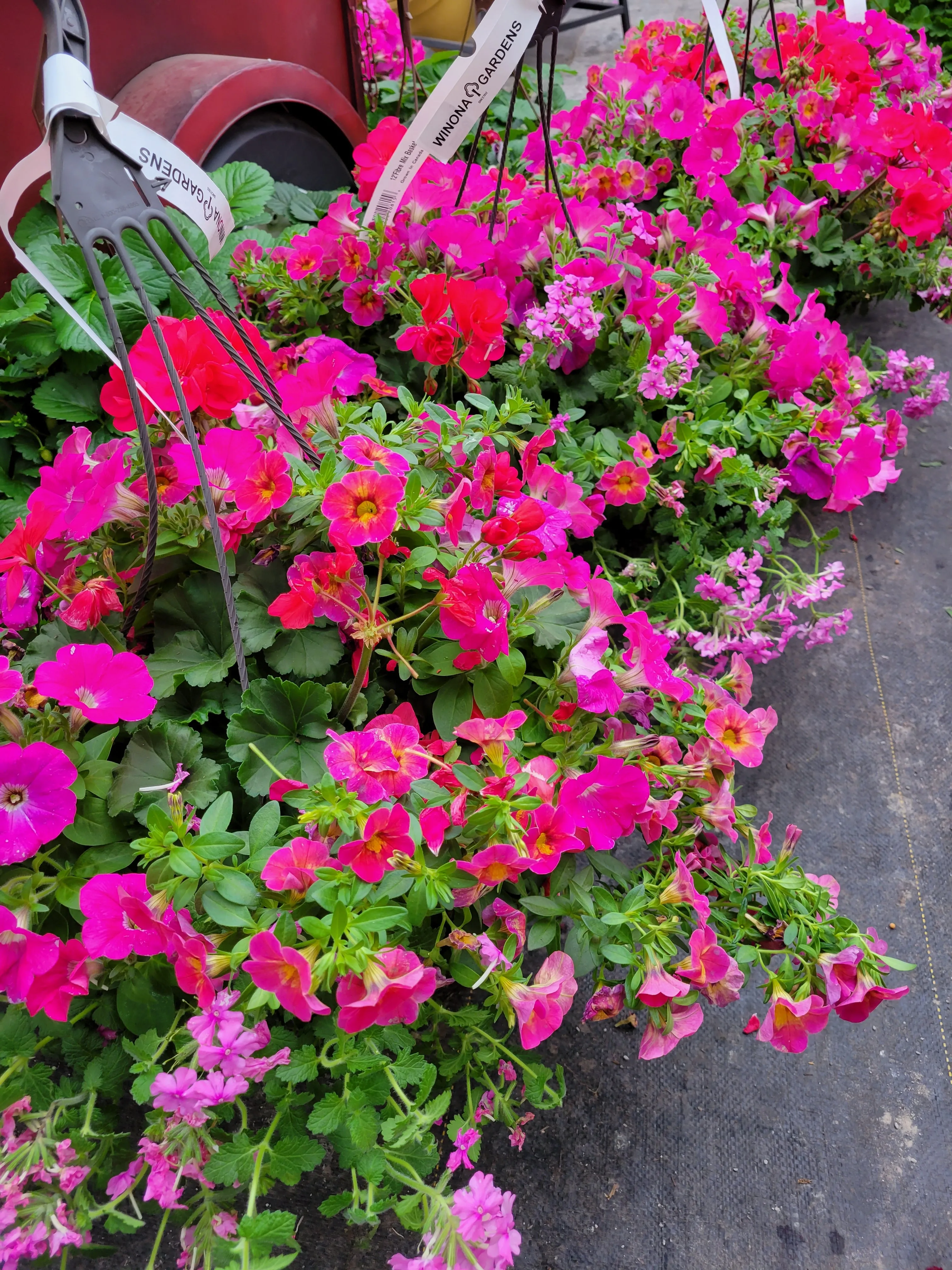 13"  Hanging Baskets Assorted