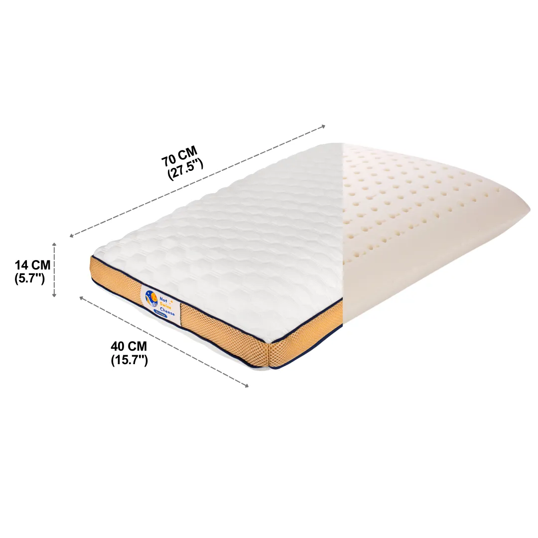 2-Pack Dunlop Medium Firm Queen Size Latex Foam Pillow