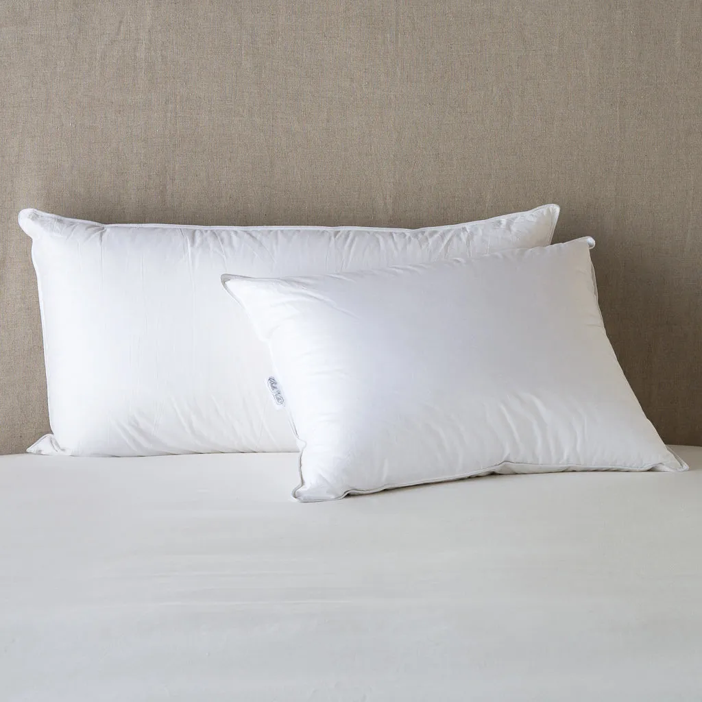 Bella Notte Divine Down Pillow Insert