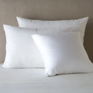 Bella Notte Divine Down Pillow Insert