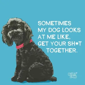 Cocktail Napkins - Sometimes