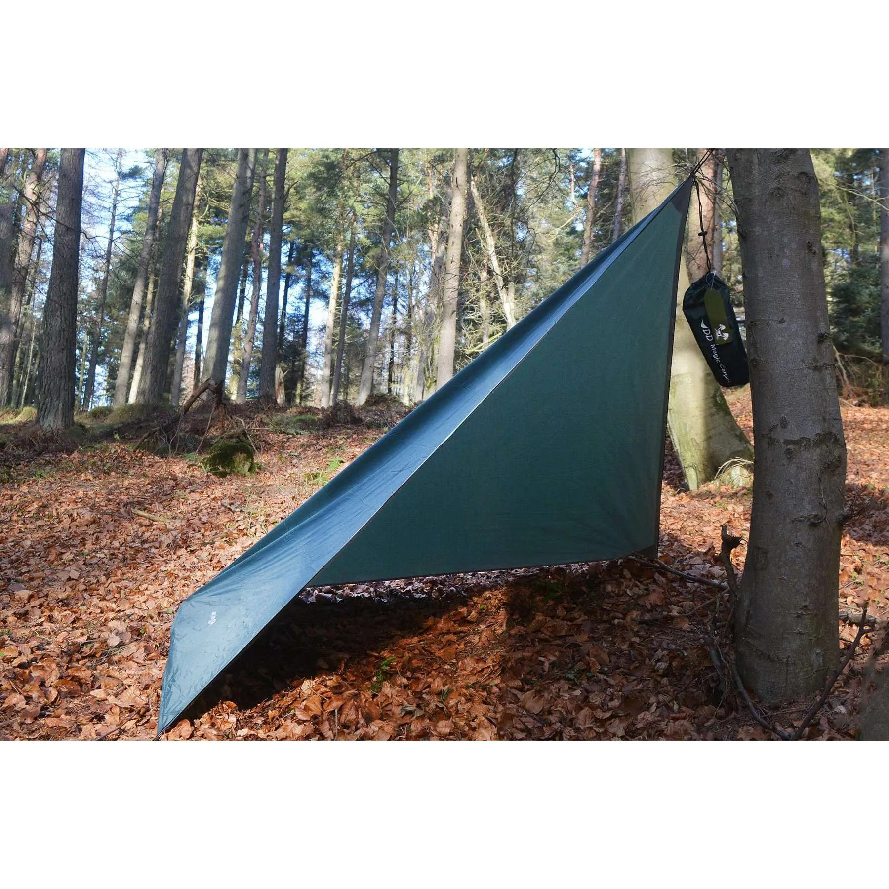 DD Magic Carpet