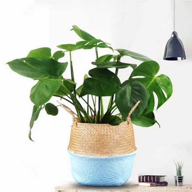 Eco-Chic Handwoven Bamboo Baskets: Sustainable Storage Solutions