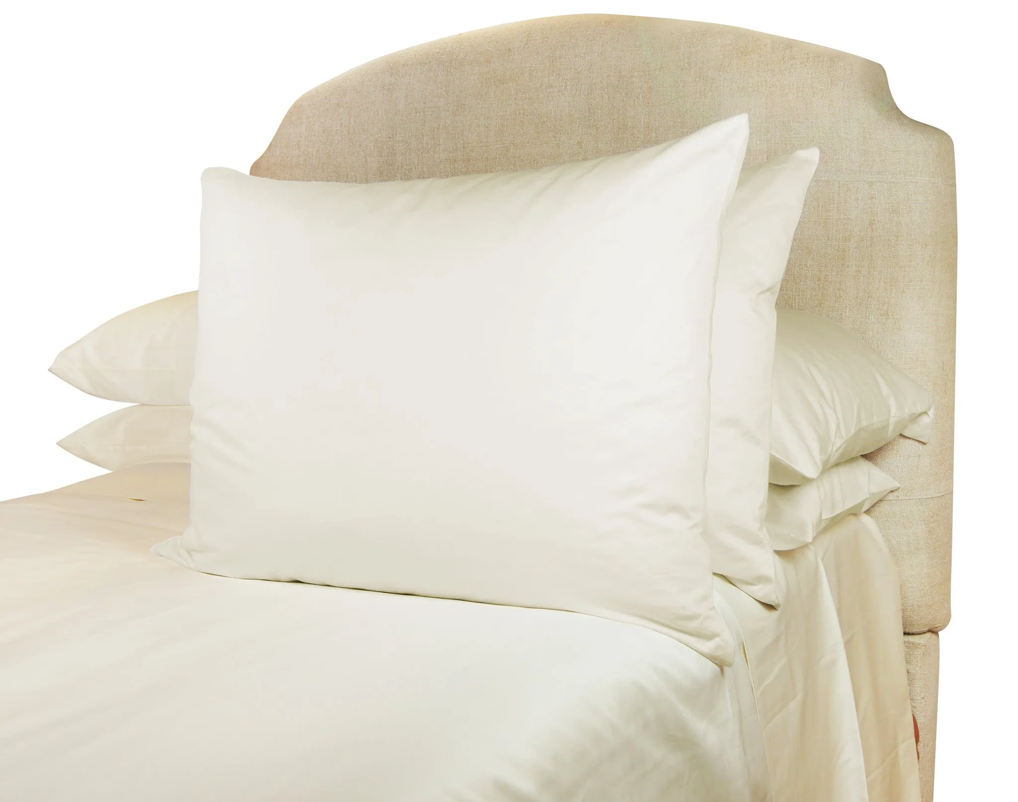 Eurostandard Hungarian Goose Feather Pillow and Sham Set