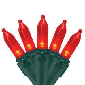 everyday 100ct LED Mini Christmas Lights Green - 33' Green Wire Red