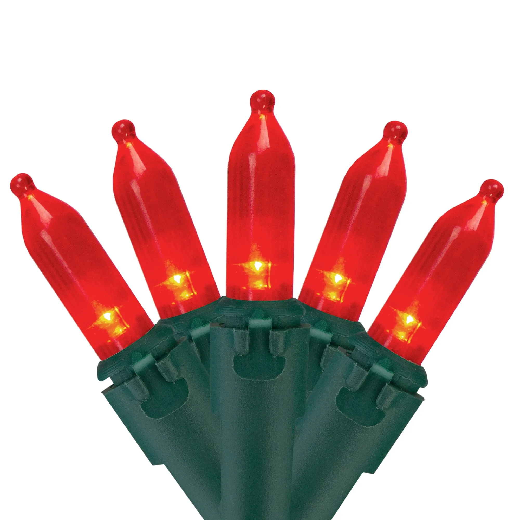 everyday 100ct LED Mini Christmas Lights Green - 33' Green Wire Red