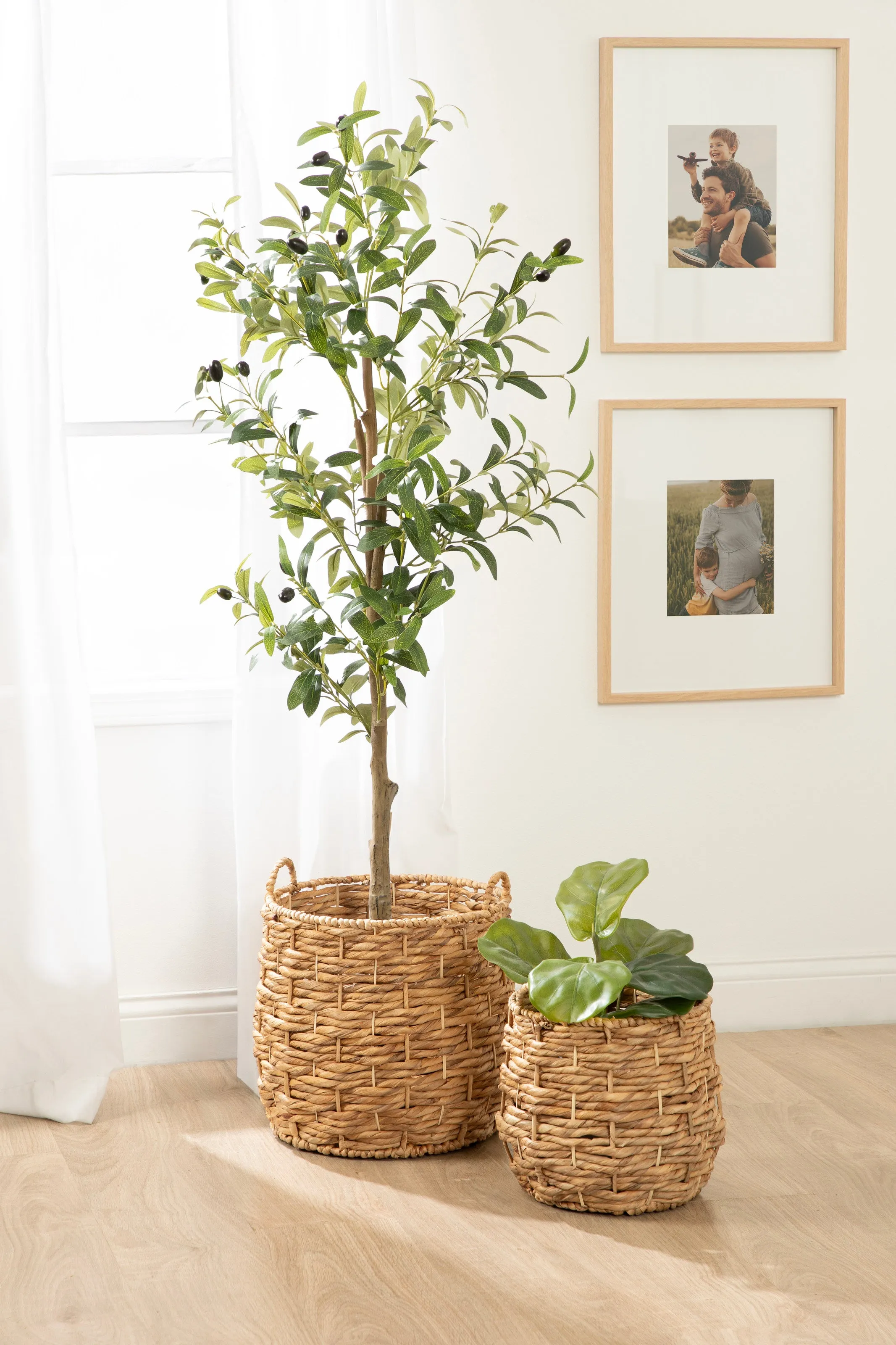 Livia Woven Baskets