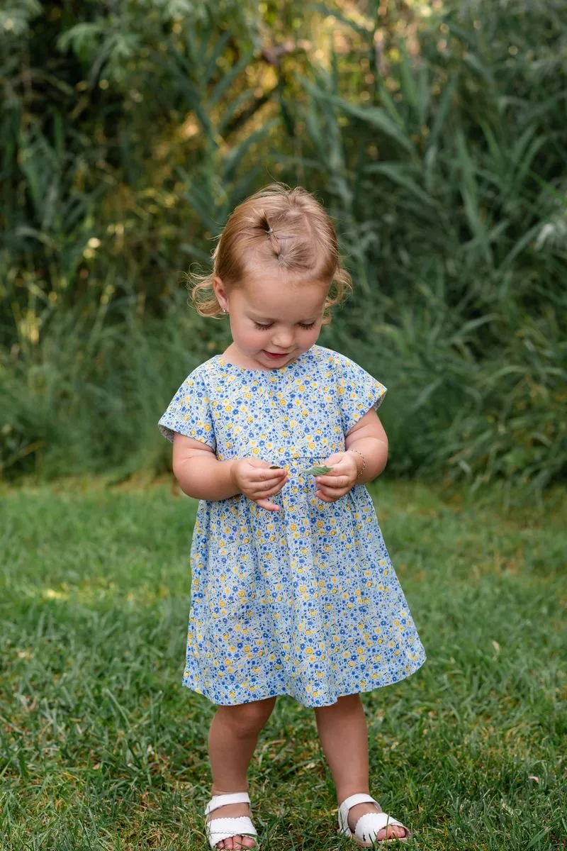 Picnic Dress, Prairie Garden