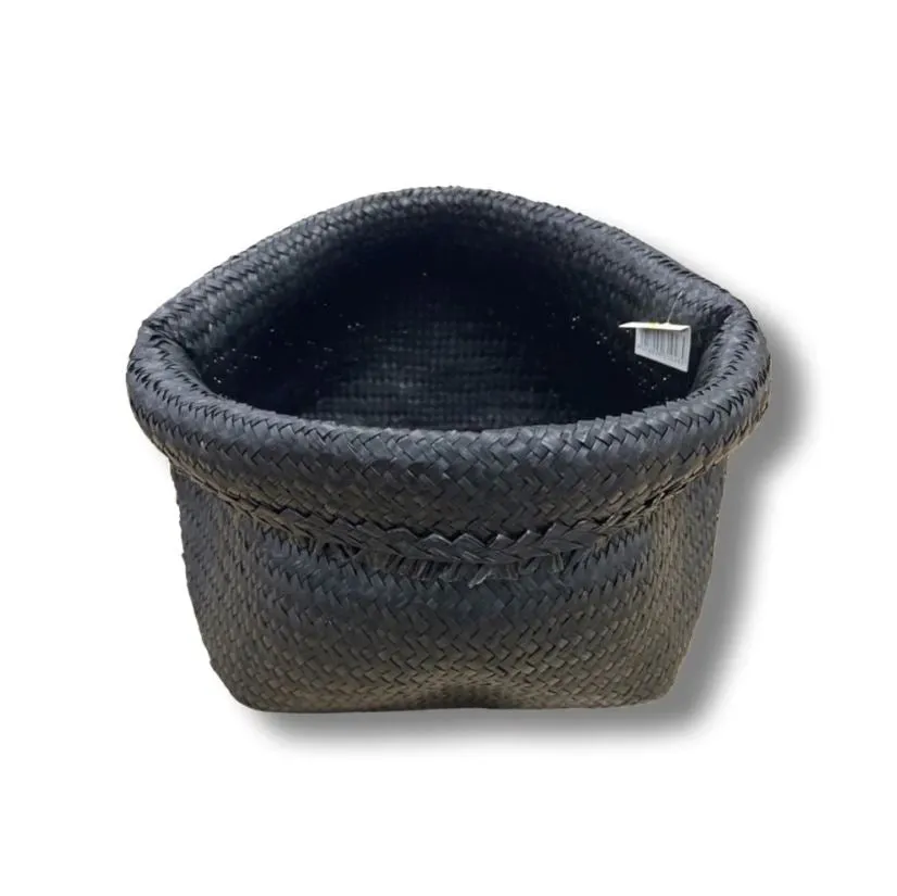 Pot Palm Black