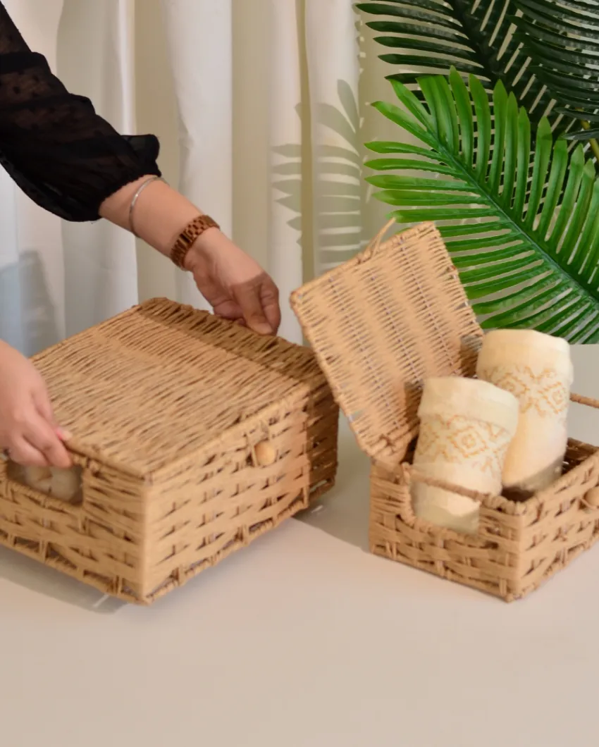Raffia Storage Woven Boxes With Lid | Set Of 2