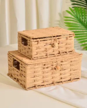 Raffia Storage Woven Boxes With Lid | Set Of 2
