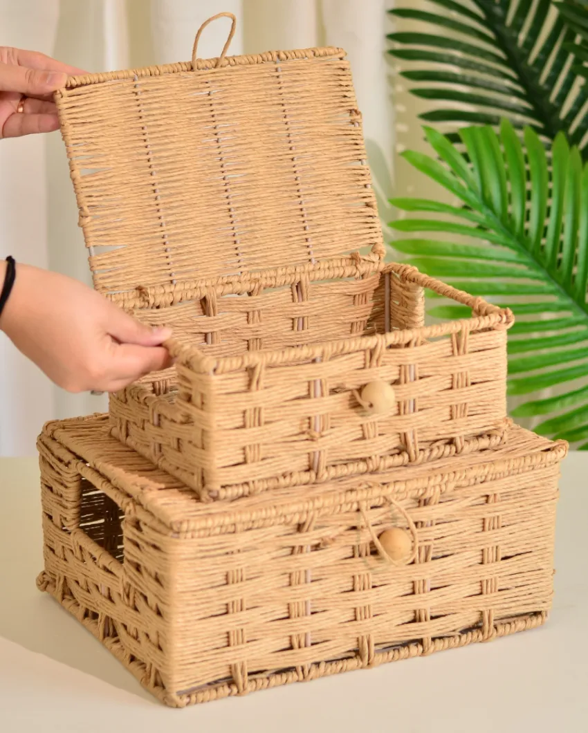 Raffia Storage Woven Boxes With Lid | Set Of 2