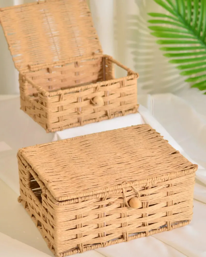 Raffia Storage Woven Boxes With Lid | Set Of 2