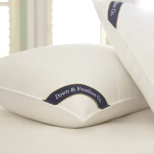 Snuggle Soft 700 Fill Power Goose Down Pillows - Queen (20" x 30")