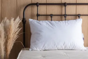 The Duck Down Surround Pillow