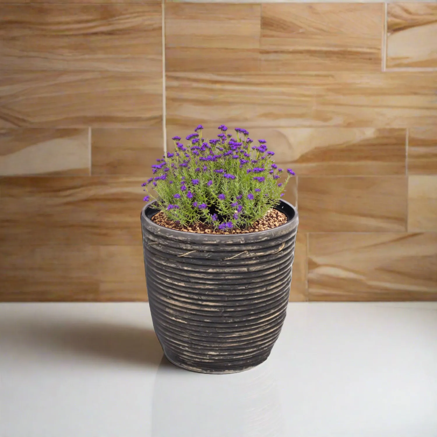 Van der Leeden Pot Round Balloon Stripe 302197 D15X14cm Black Wash